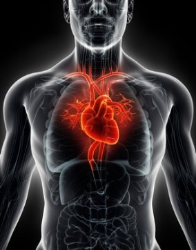 Q10 saves heart failure patients' lives and improve quality of life