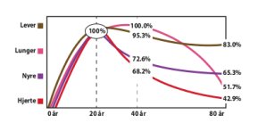 Curve showing the body's Q10 production though life