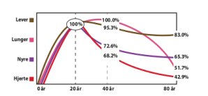 Produktion af Q10 gennem livet