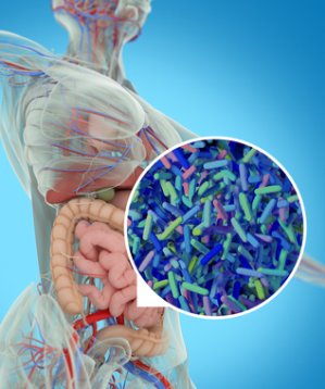 Omega-3 fatty acids benefit the gut flora