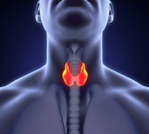Thyroid disease requires the right balance between iodine and selenium 