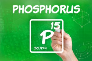 Phosphorous is both essential and lethal