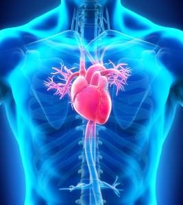 Lack of vitamin D increases your risk of atrial fibrillation that is associated with severe complications