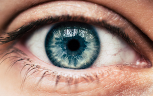 Tilskud med Q10 og andre antioxidanter til udbredte øjensygdomme