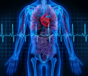 Q10 för förebyggande och behandling av hjärt-kärlsjukdomar