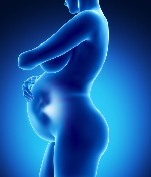Während der Schwangerschaft ist der sich entwickelnde Fötus vollständig vom Selenstatus der Mutter abhängig