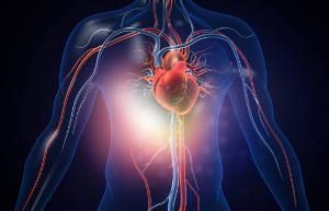 Vilka kosttillskott förebygger hjärt-kärlsjukdomar?