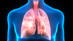 Die Rolle von Vitamin D bei COPD und Asthma