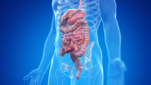 Lack of vitamin B increases your risk of inflammatory bowel diseases