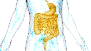 Inflammatory bowel diseases are linked to vitamin D deficiency