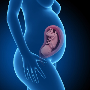 Der Mangel an mehreren Nährstoffen bei Schwangeren schadet der Entwicklung des Kindes