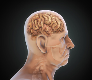 Alzheimers sygdom hænger sammen med vitaminmangler