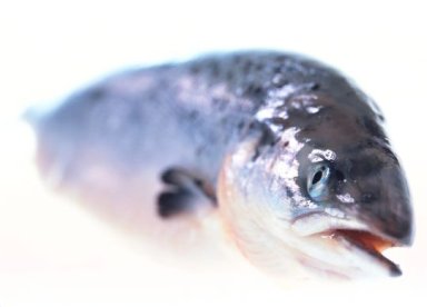 Fish oil lowers inflammation and anxiety