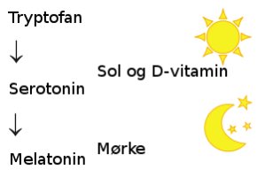 Vi kan ikke danne serotonin uden tilstrækkelig D-vitamin