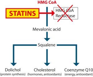 Curve showing how statins block Q10